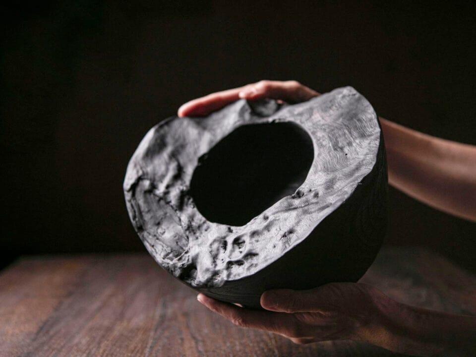 Raven Black Moon Landing A08R32