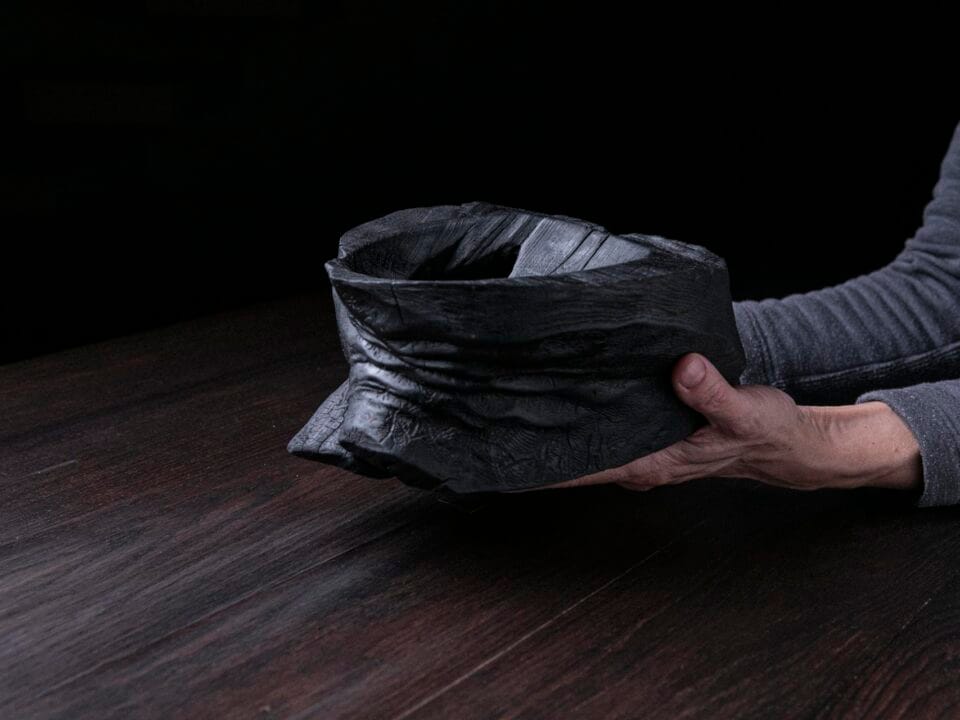 Raven Black Elephant Foot A10V58